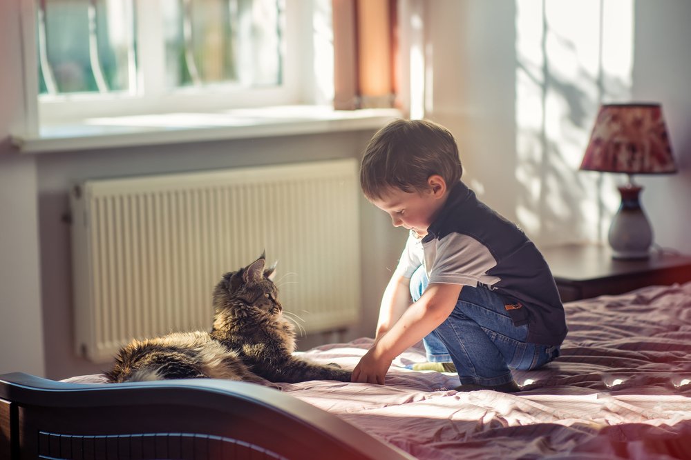 Photograph by Елена Бурцева