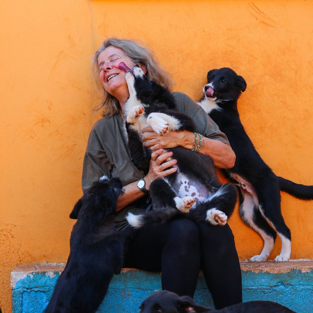 Photograph by Георгий Акопджанов