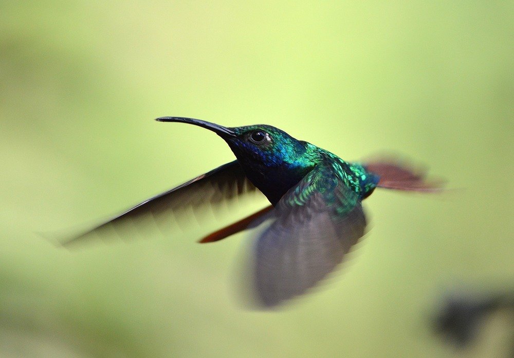 Photograph by JUAN CARLOS MEJIA GOMEZ