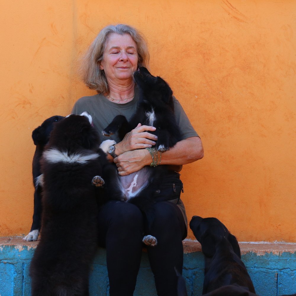 Photograph by Георгий Акопджанов