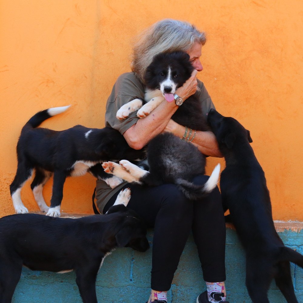 Photograph by Георгий Акопджанов