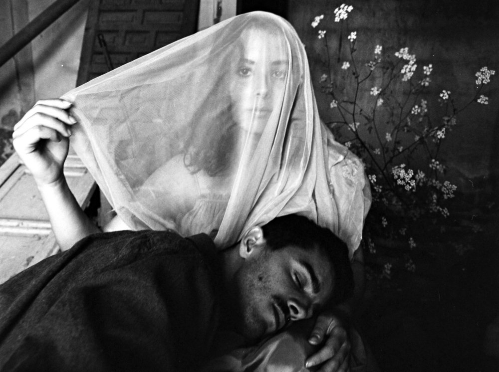 Photograph by Елена Литвинова