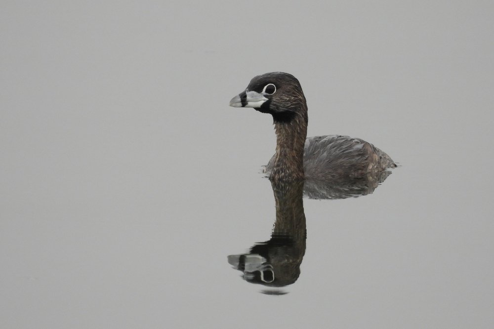 23/5000 Infinity Water Mirror