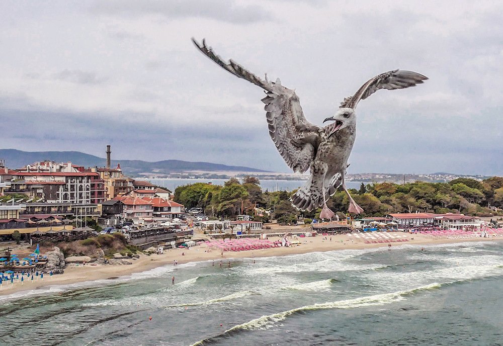 Photograph by IRA Gencheva