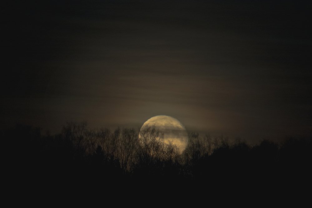 Photograph by Артем Полинин