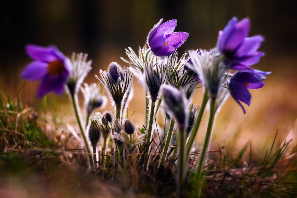 Photograph by Айвар Удрис