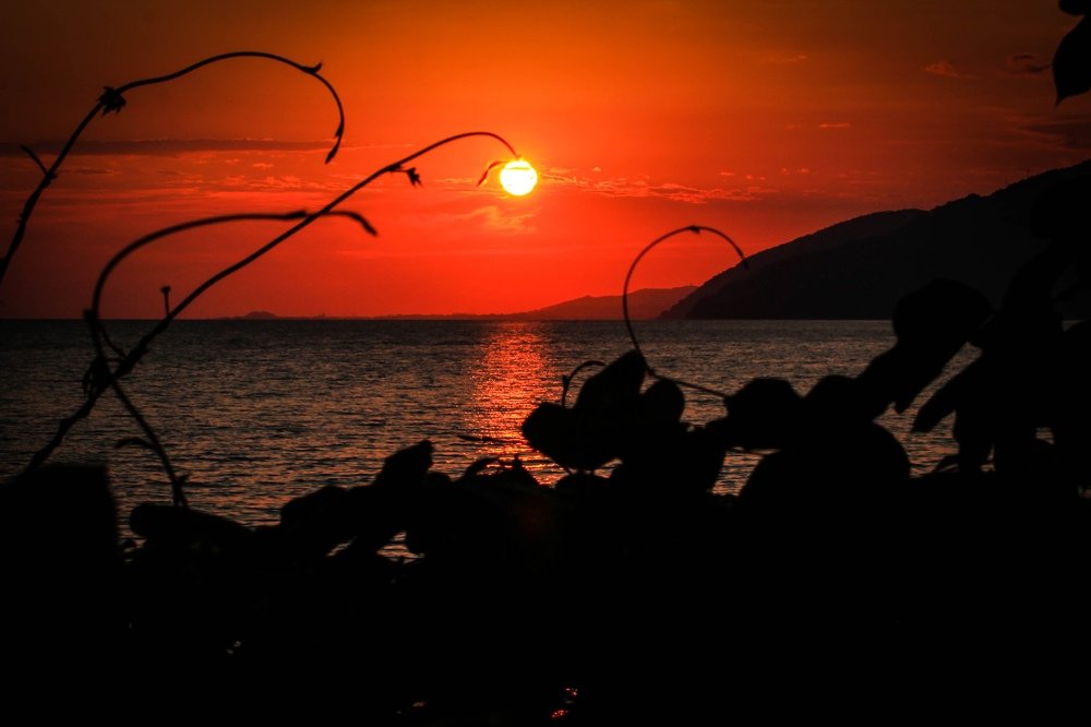 Photograph by Екатерина Пантелеева