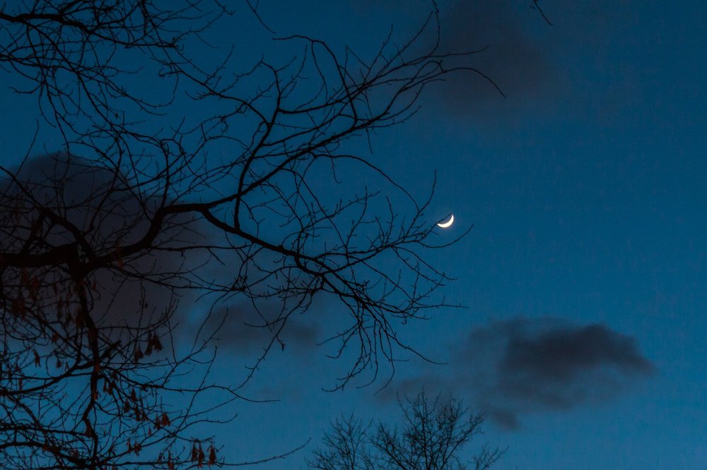 Фотография автора Александр Стоялов