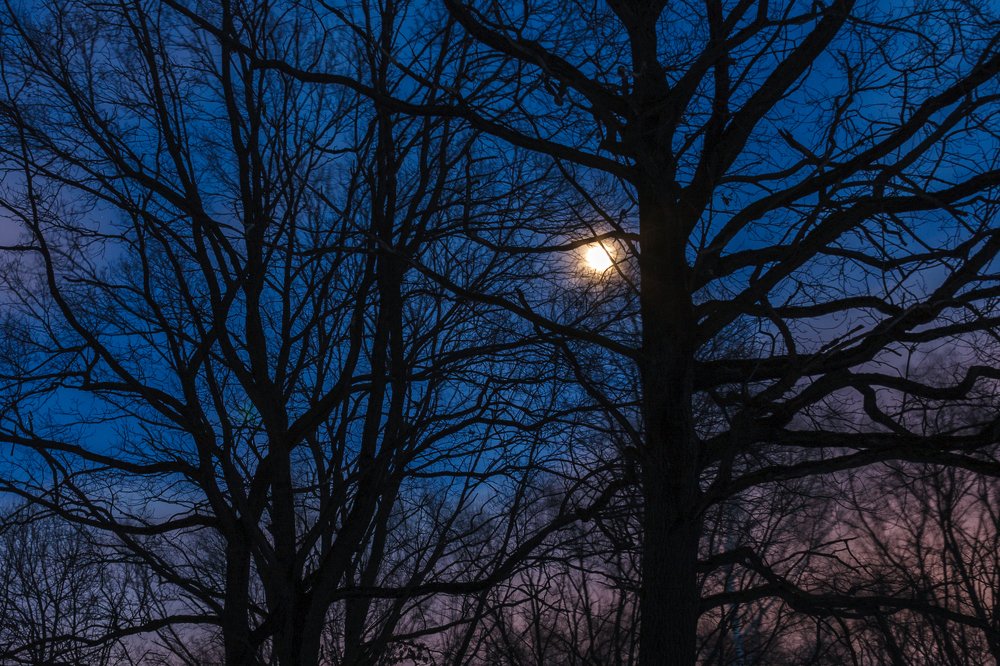 Фотография автора Александр Стоялов