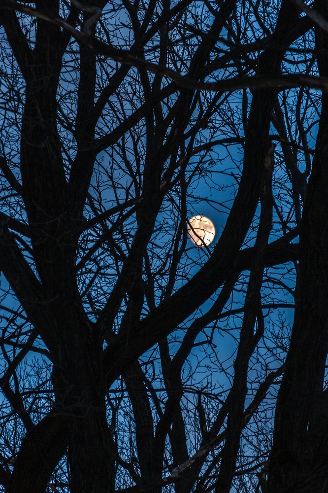 Фотография автора Александр Стоялов