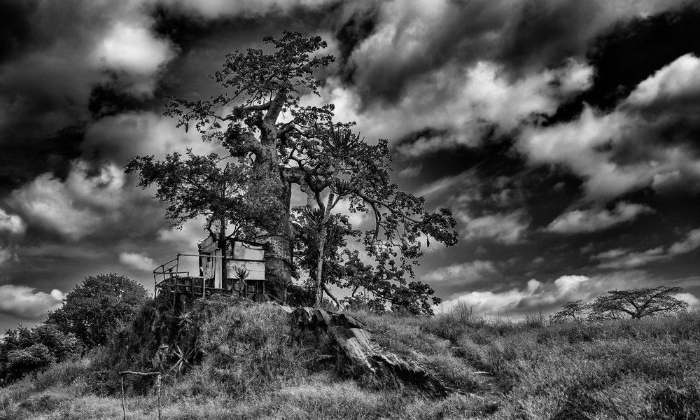 Photograph by Emanuel Rebelo