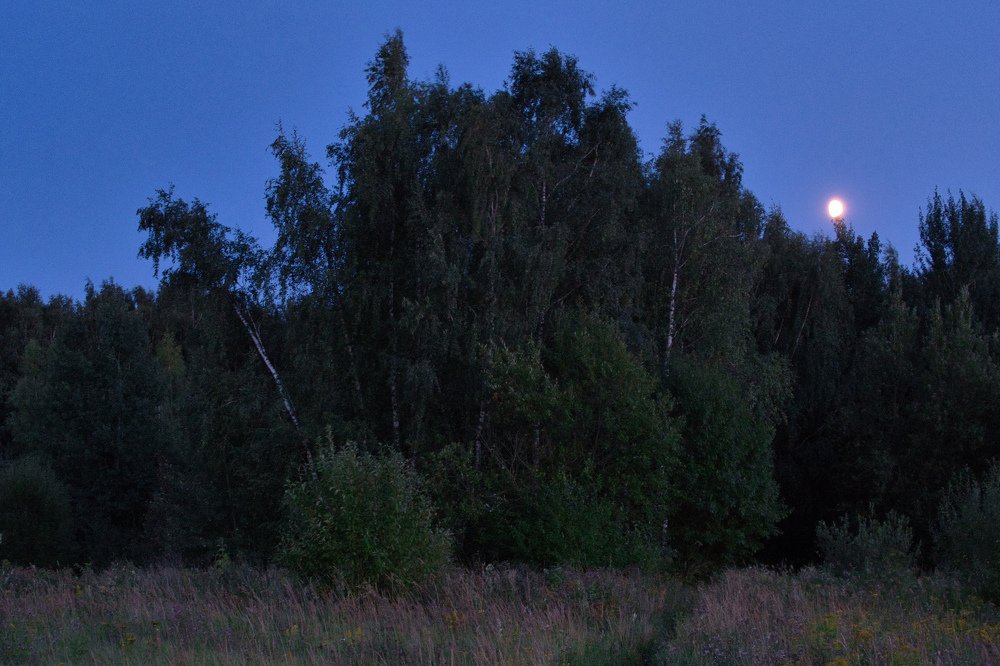 Тёплый шорох