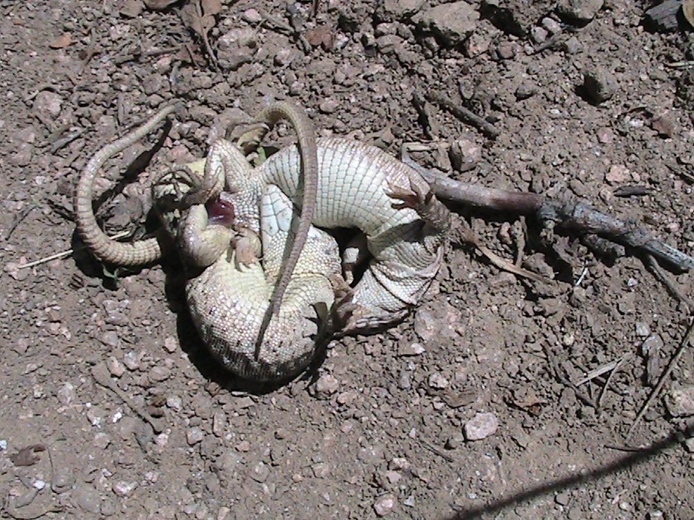 Photograph by Марина Белькова