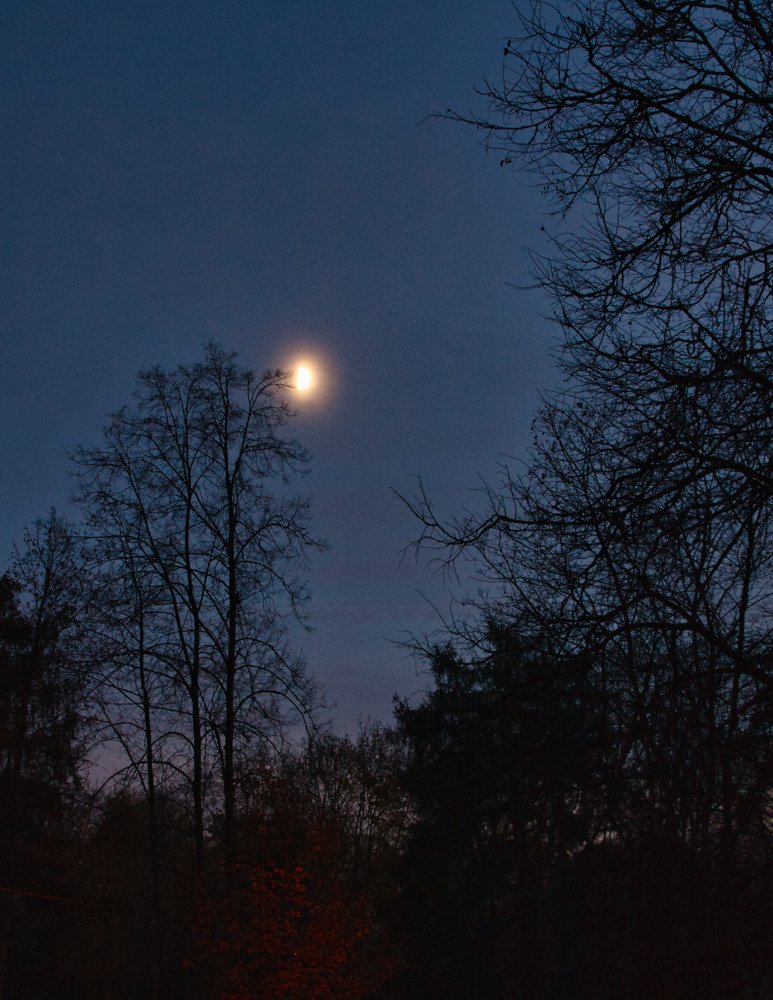 Фотография автора Александр Стоялов