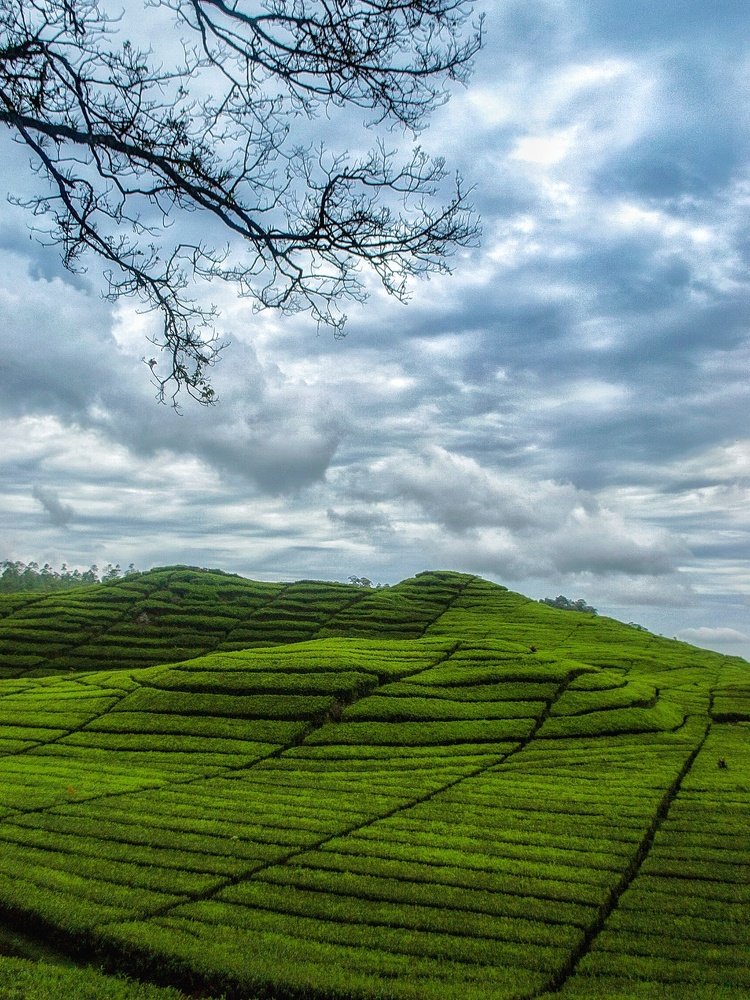 Photograph by lia indriani