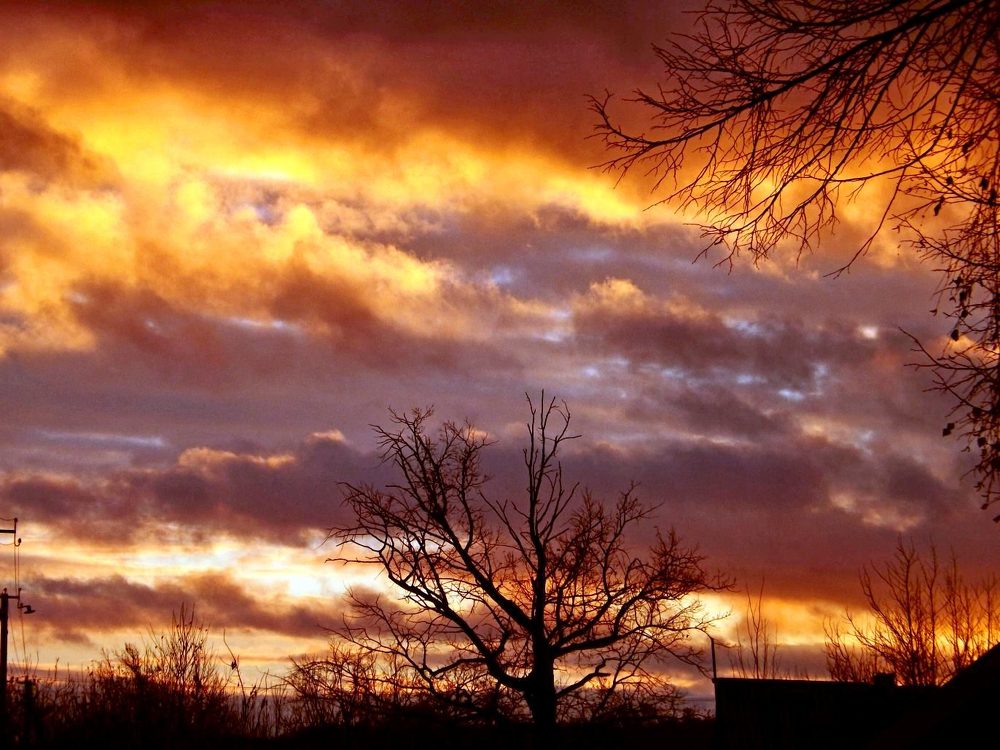 Photograph by Александр Бровкин