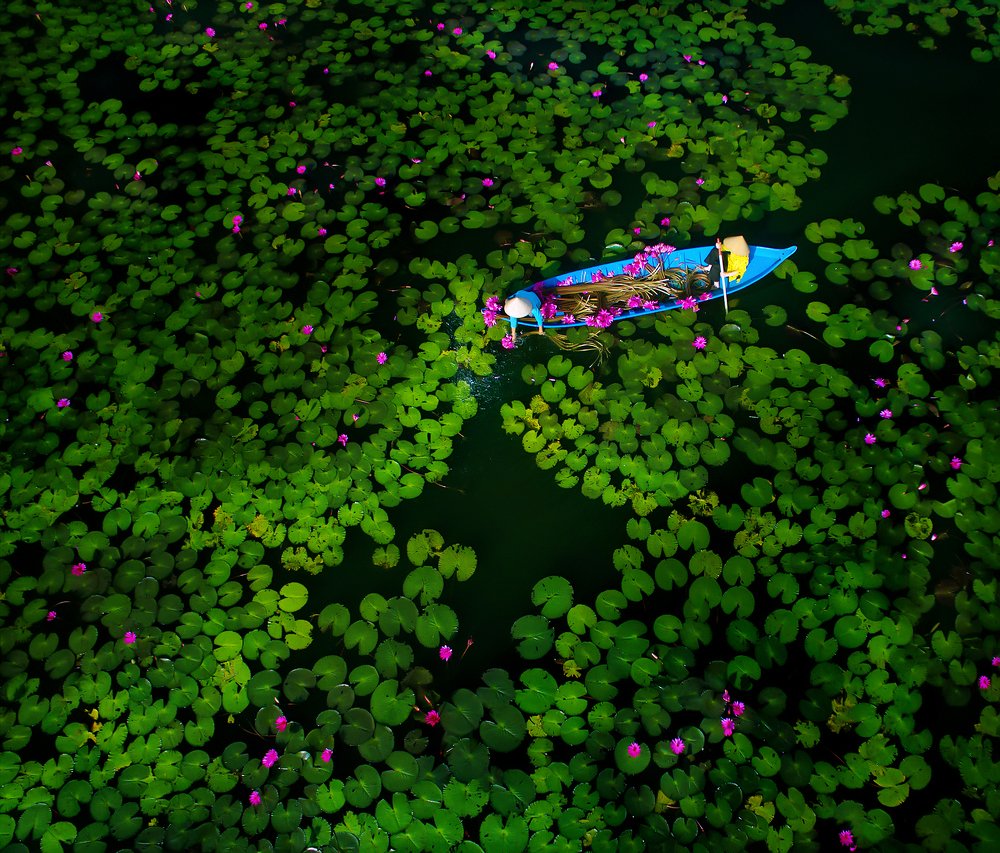 Photograph by LE NGON