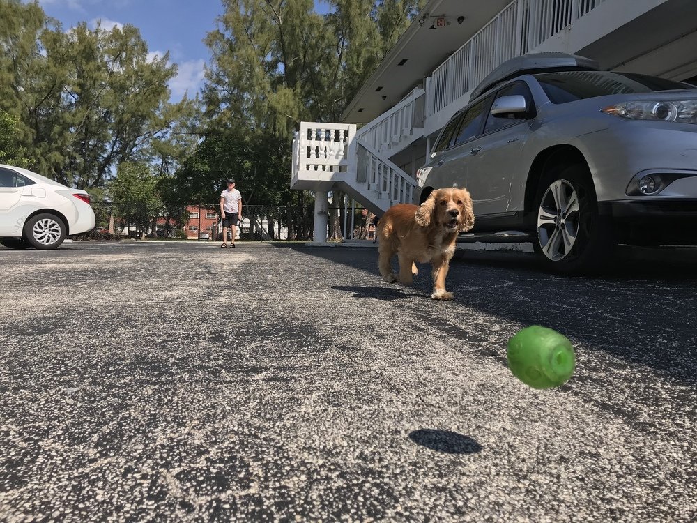 Photograph by Чин Нина