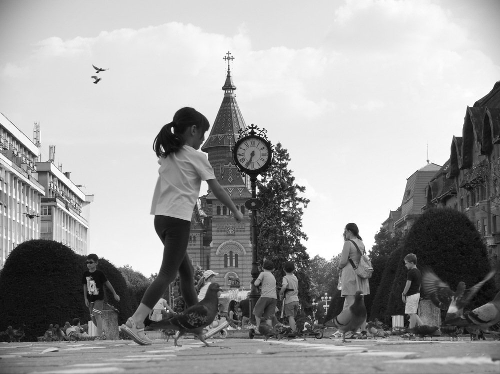 Photograph by Liviu Ionita