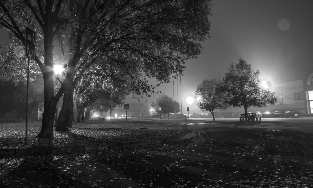 Фотография автора Виталий Медведь