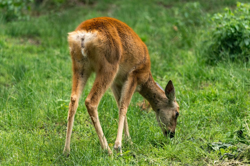 Photograph by Ольга Ли