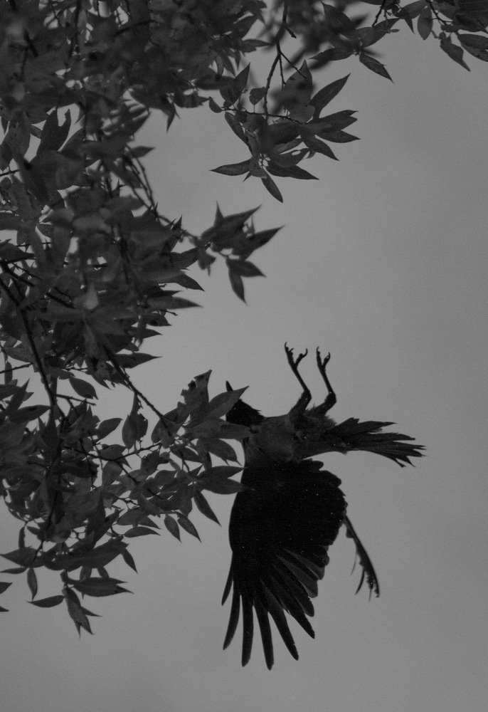 Photograph by Серафим Бударин