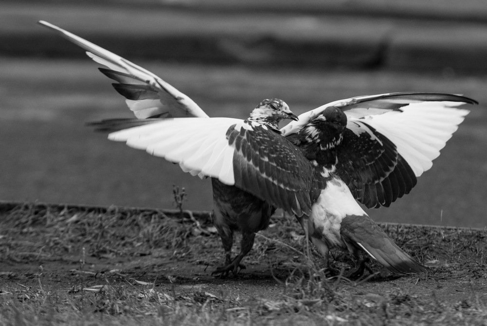 Photograph by Серафим Бударин