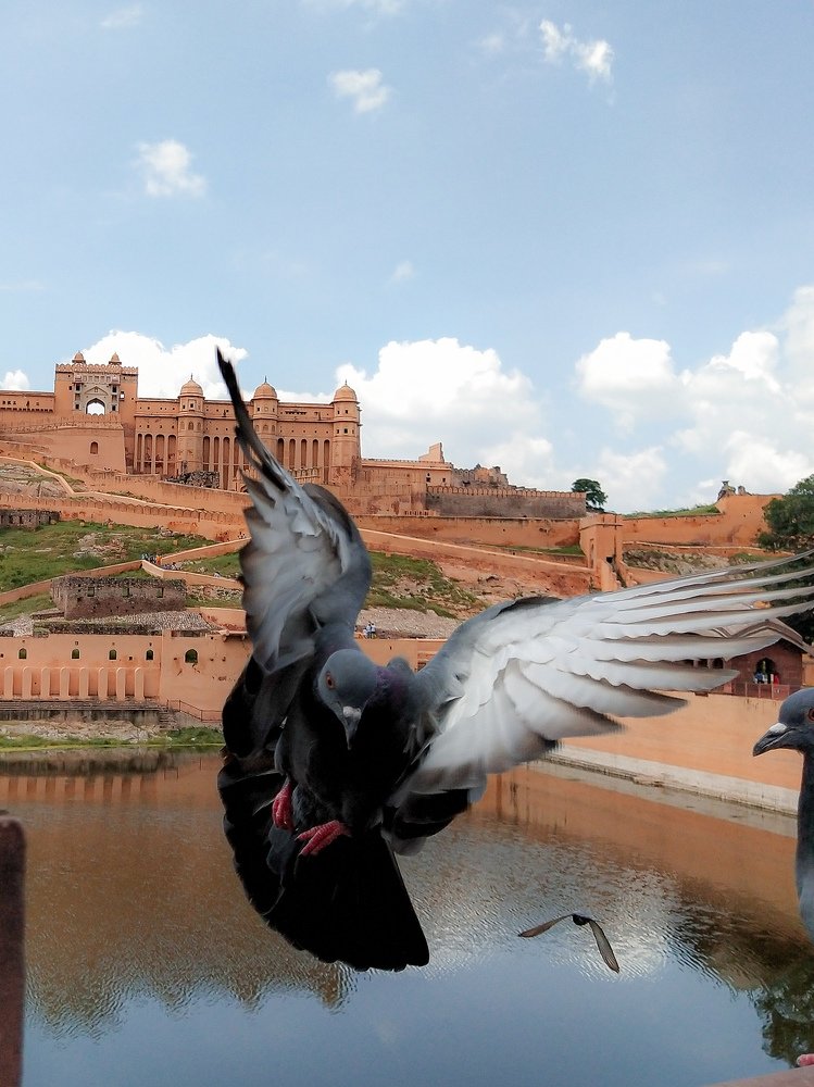 Photograph by Lakshya Sharma