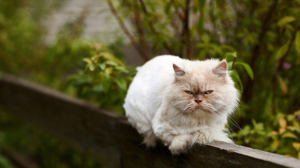 Photograph by Александр Батусов