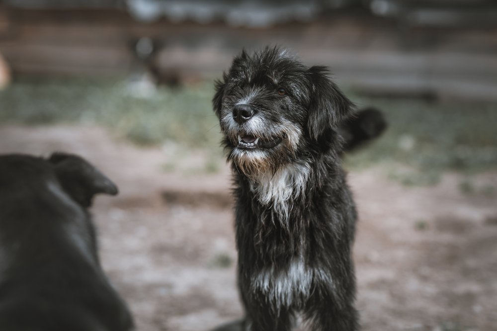 Photograph by Леонид Игнатов