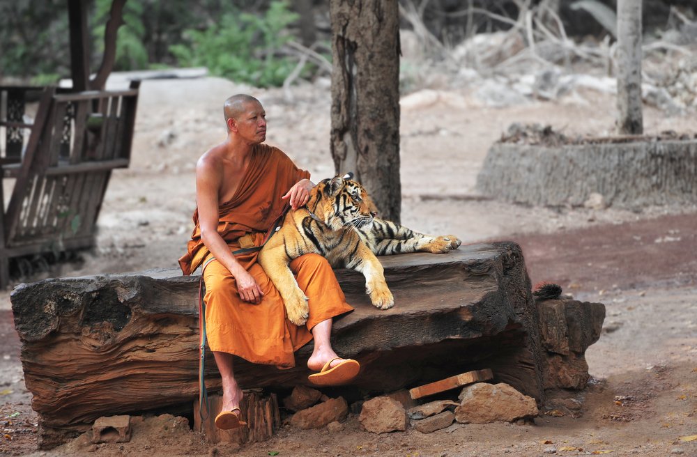 Фотография автора Димитрий Евтушик