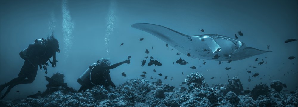 Фотография автора Димитрий Евтушик