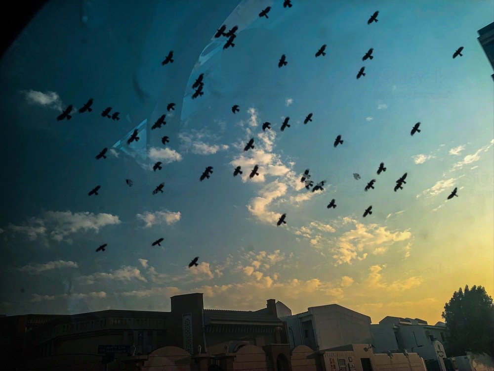 Photograph by Ahsan Ishtiaq