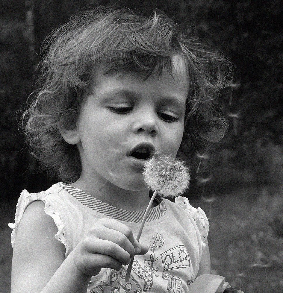 Photograph by Валерий Зарайсько