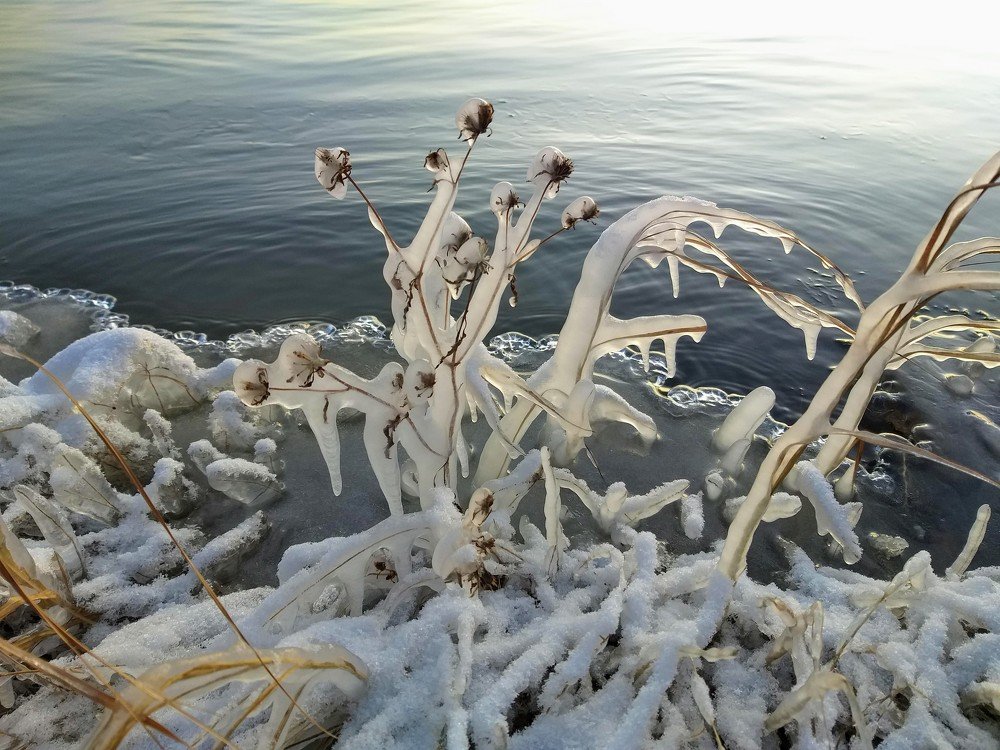 Photograph by Александр Карпенко