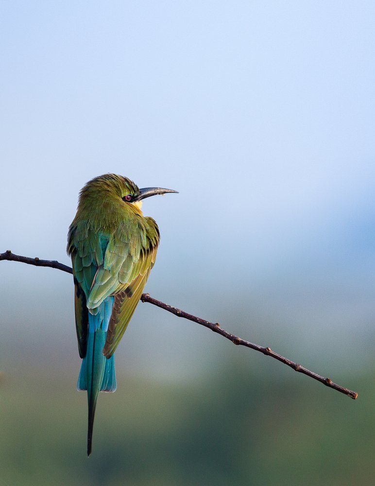 Photograph by Shajin Nambiar