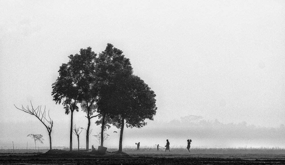 In quest of livelihood