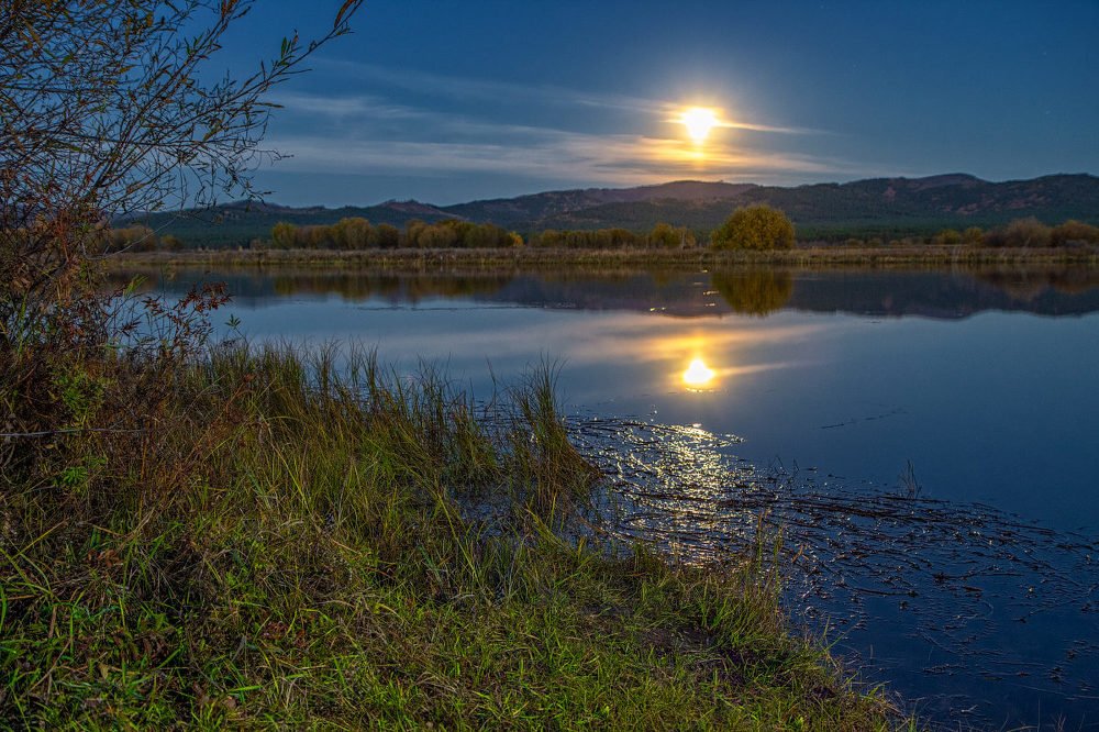Photograph by Владимир Климов