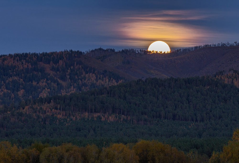 Photograph by Владимир Климов