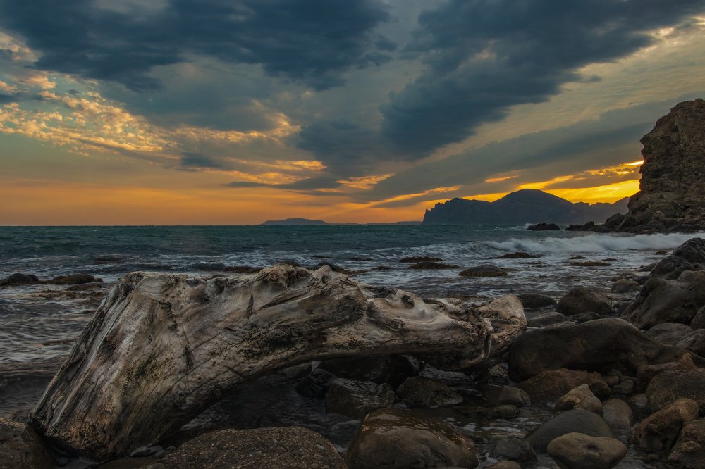 Изо дня в ночь