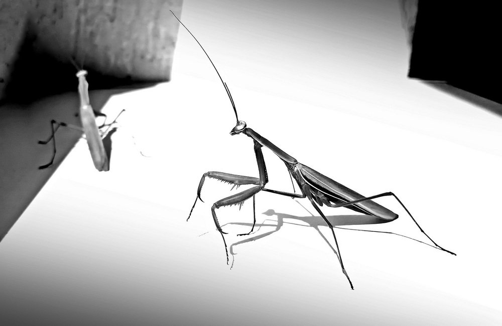 Photograph by Александр Макеенков