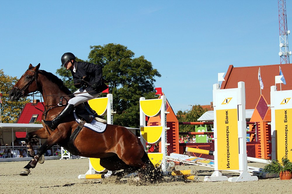 Photograph by Шруб (Беляева) Татьяна