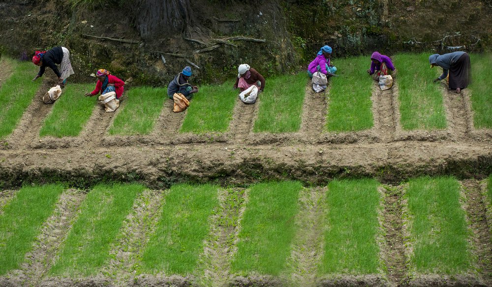 Photograph by Madushika Lakmali