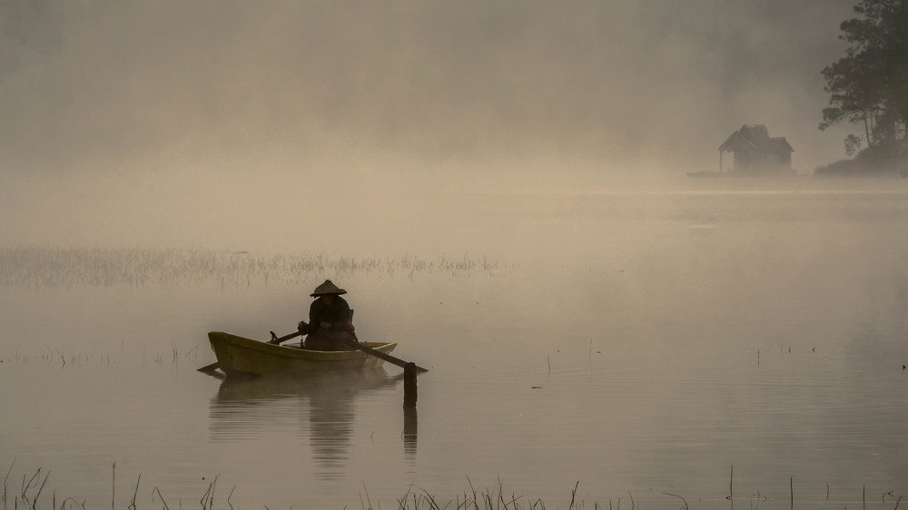 Photograph by Thái Võ