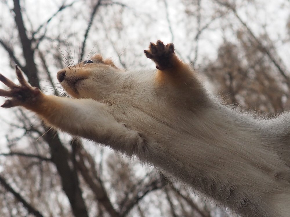 Photograph by Elena Khalizova