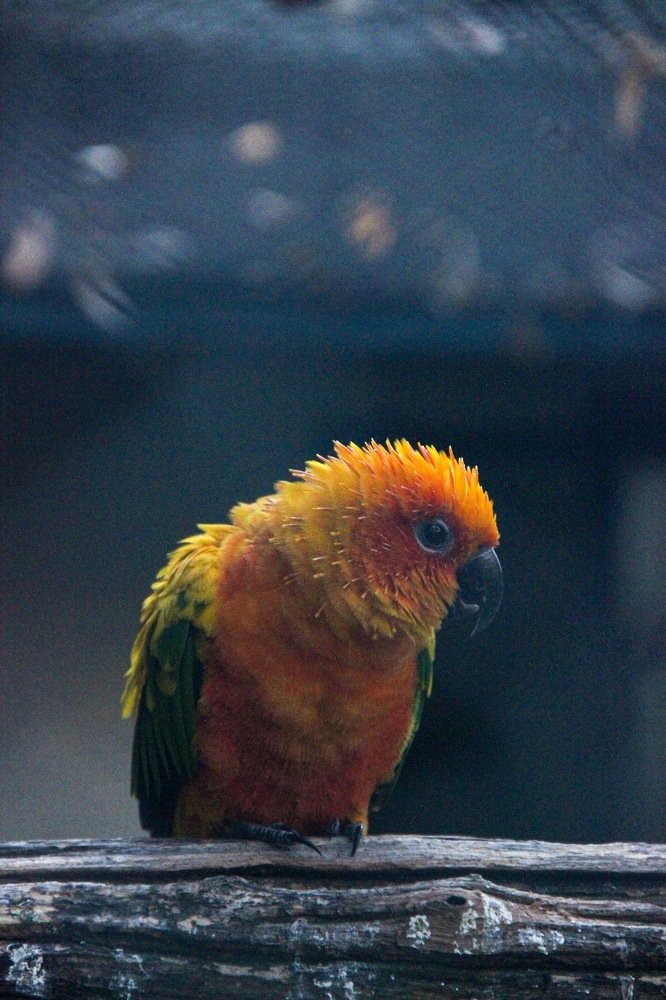 Photograph by Marija Pavlovic