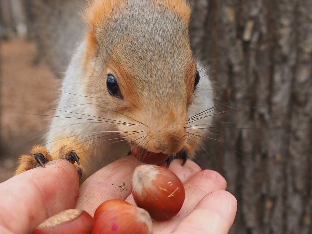Photograph by Elena Khalizova