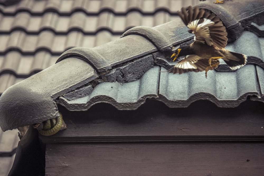 Фотография автора Олеся Набиева