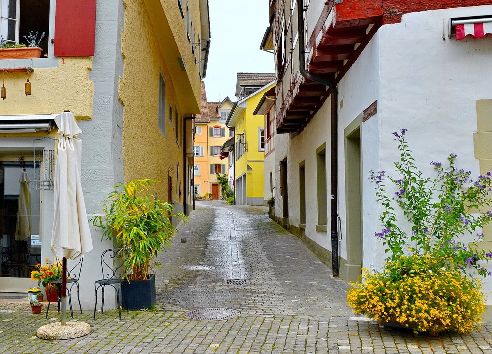 После дождя