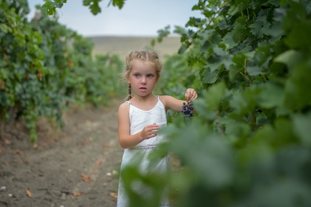 В винограднике